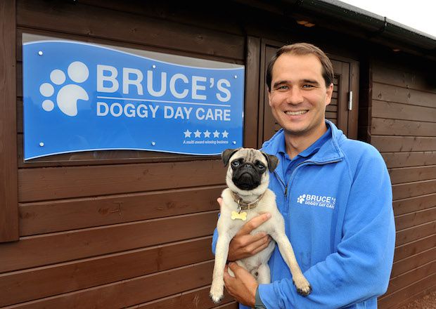 Bruce doggy day store care